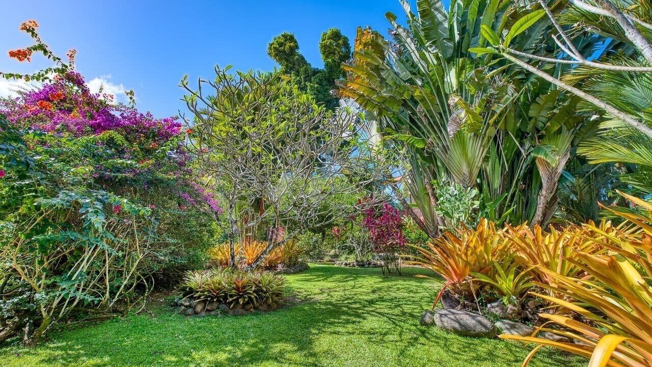 Photo of Outdoor in Puerto Viejo de Talamanca