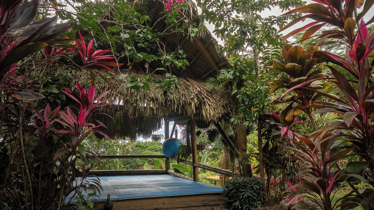 Photo of Outdoor in Jaco