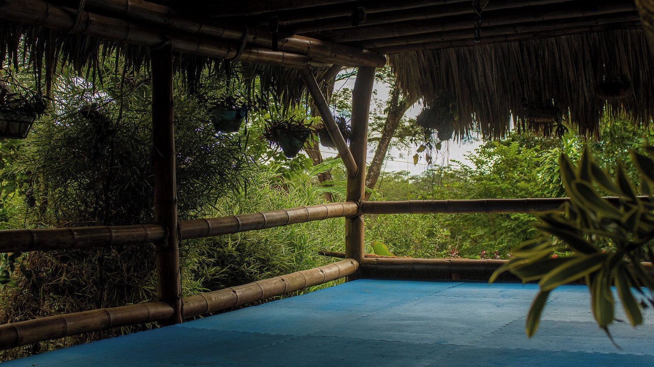 Photo of Outdoor in Jaco