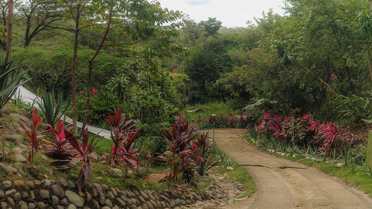Photo of Outdoor in Jaco