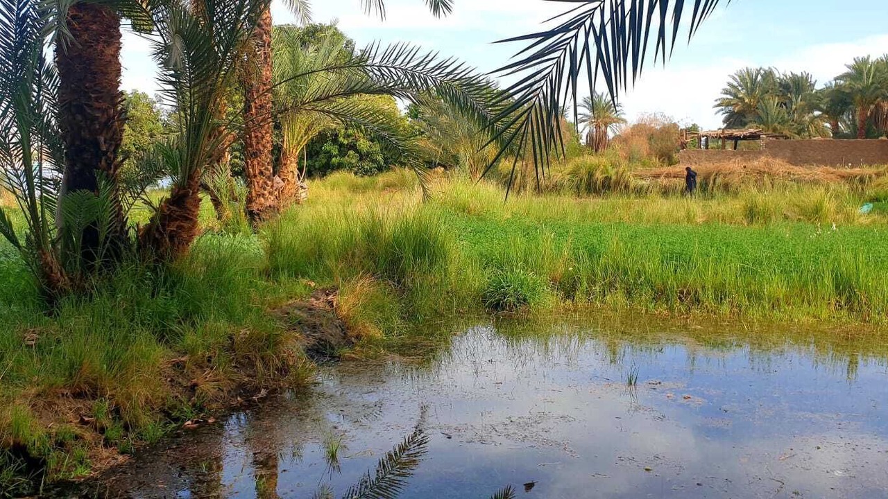 Photo of Outdoor in Aswan