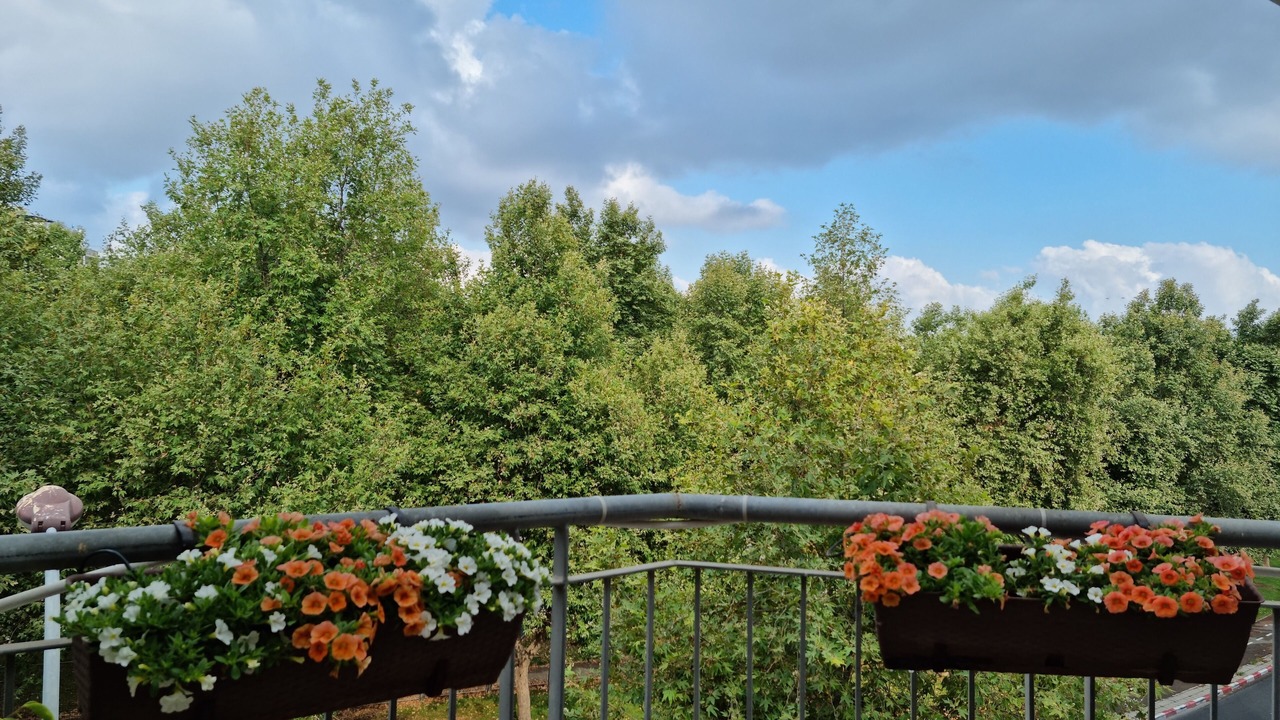 Photo of Outdoor in Modi'in-Maccabim-Re'ut