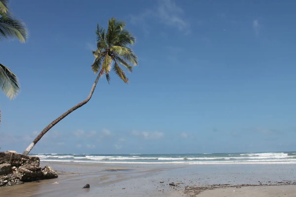 Photo of Others in Playa Guiones