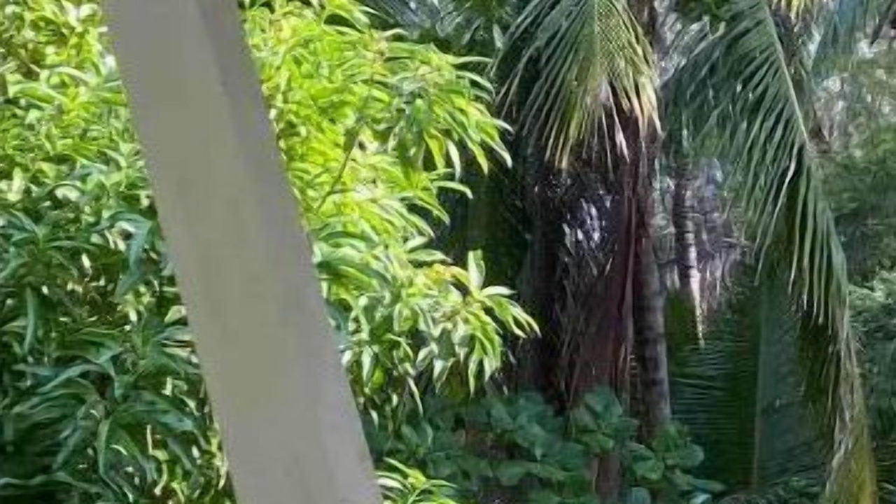 Photo of Outdoor in Playa Guiones