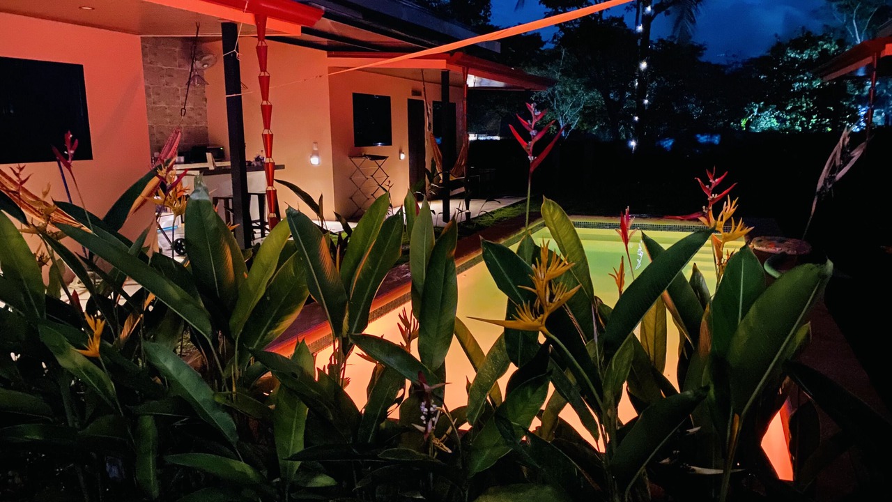 Photo of Outdoor in Pavones