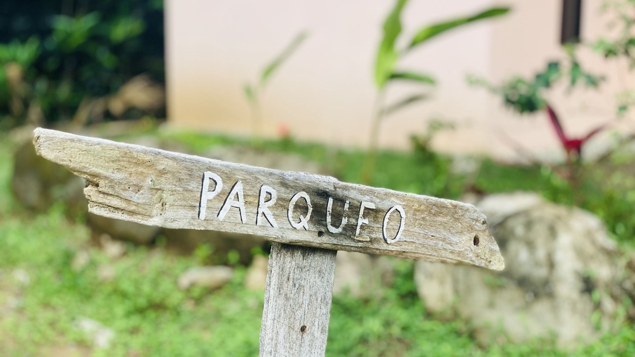 Photo of Outdoor in Pavones