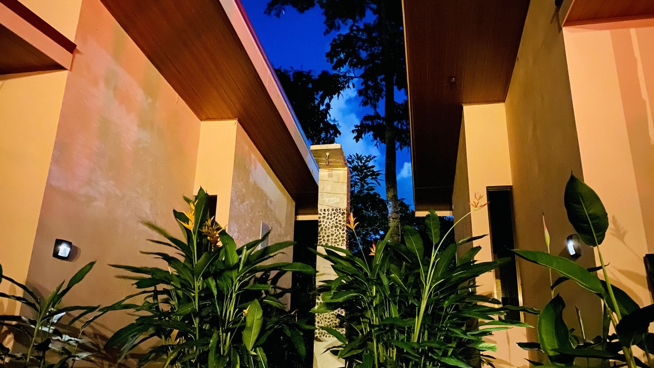 Photo of Outdoor in Pavones