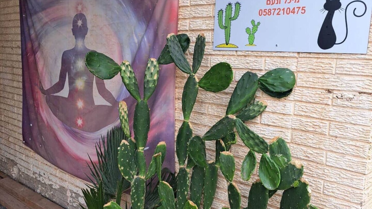 Photo of Outdoor in Neot HaKikar