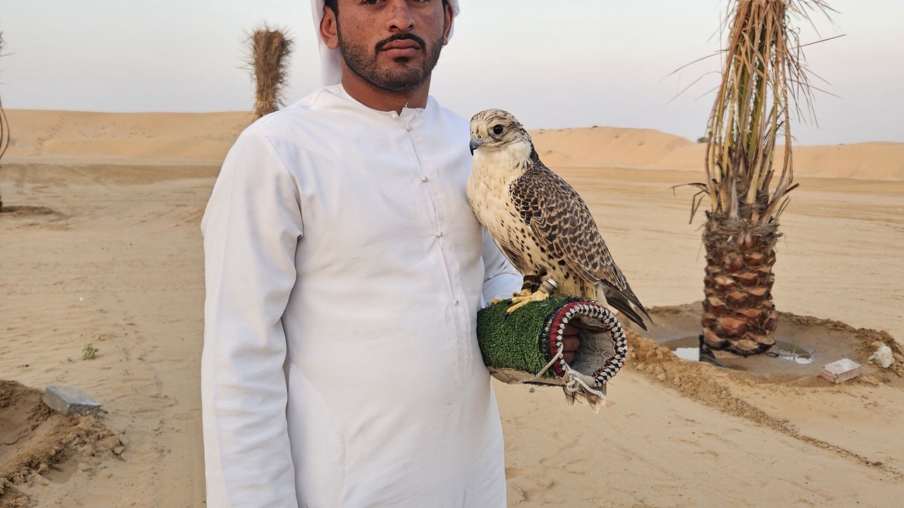 Photo of Others in Al Awir