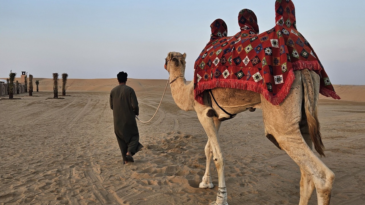 Photo of Others in Al Awir