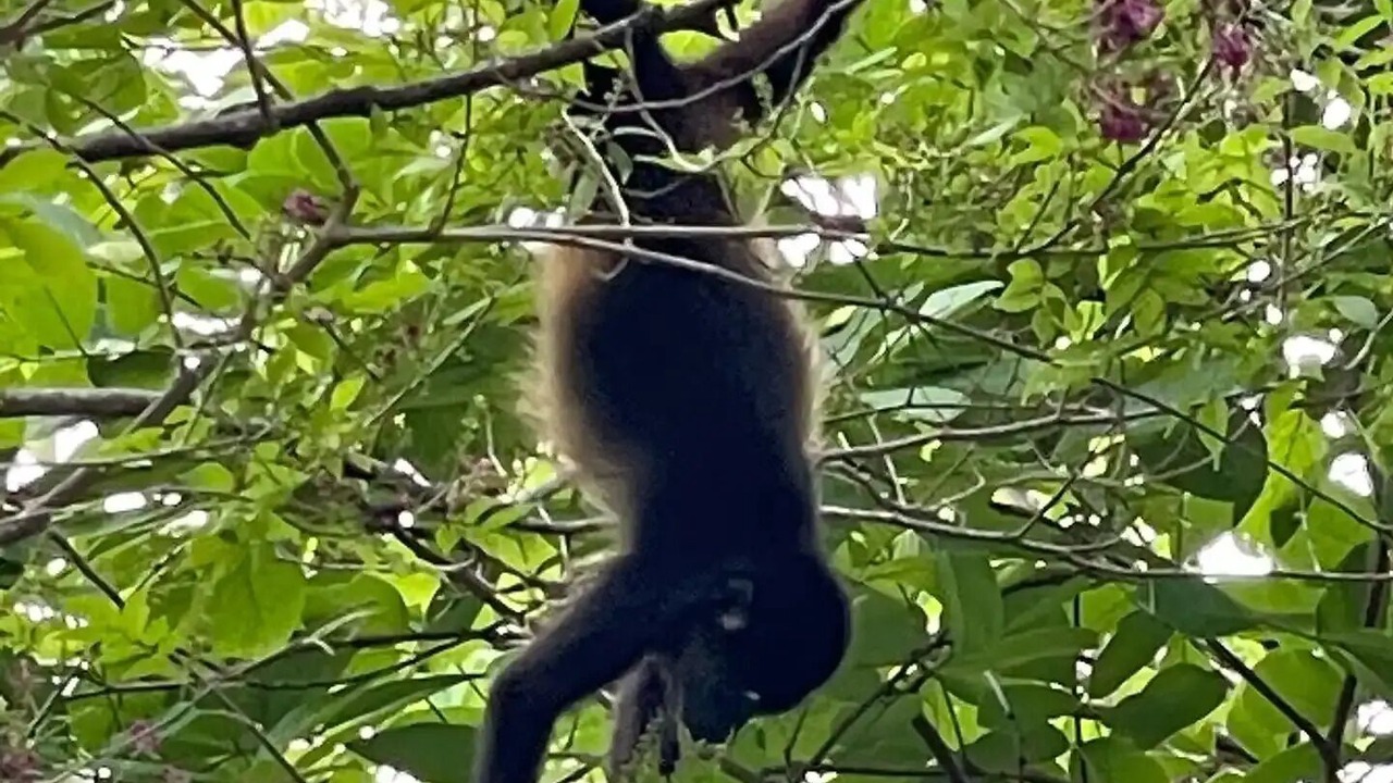 Photo of Others in Rio Seco