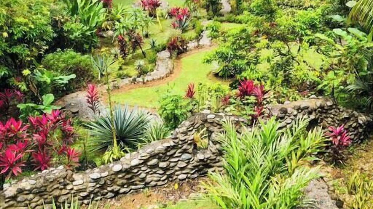 Photo of Others in Uvita