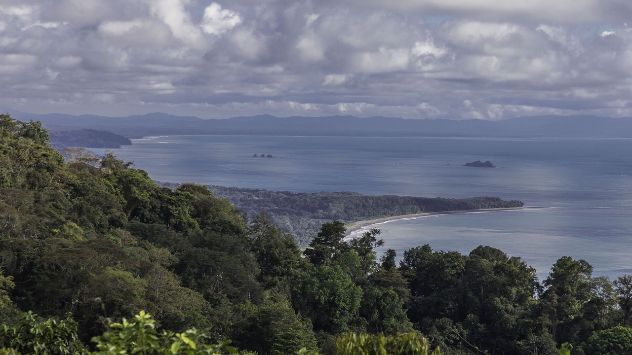 Photo of Others in Dominical