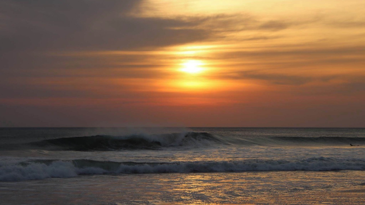 Photo of Others in Playa Grande