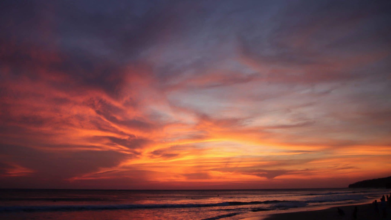 Photo of Others in Playa Grande