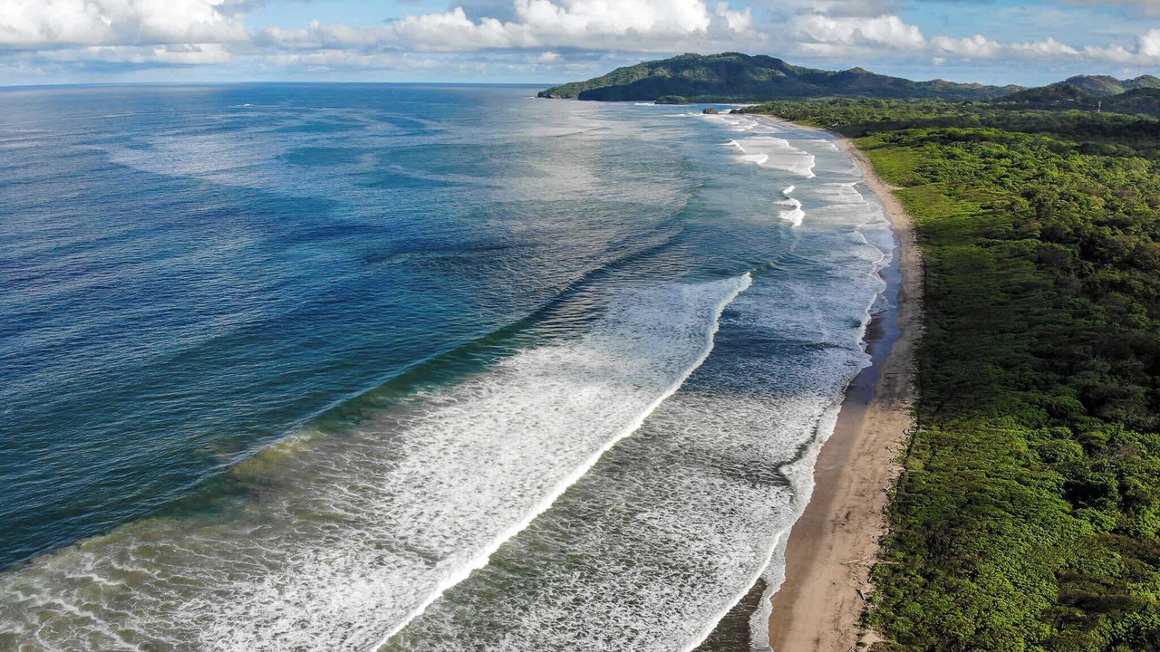 Photo of Others in Playa Grande