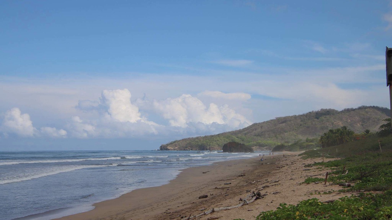 Photo of Others in Playa Grande