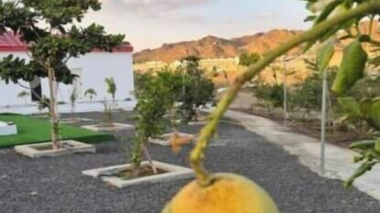 Photo of Outdoor in Hatta