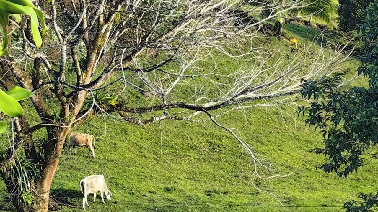 Photo of Others in Monterrey
