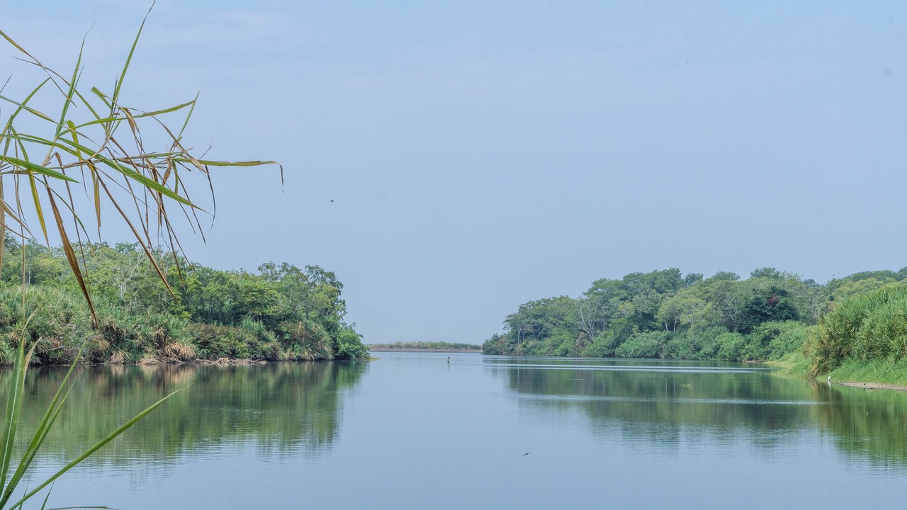 Photo of Others in Parrita