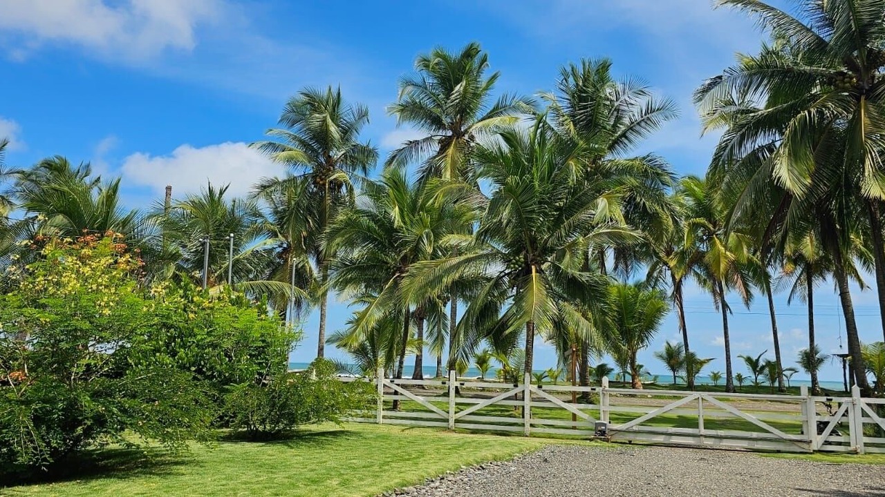 Photo of Others in Parrita