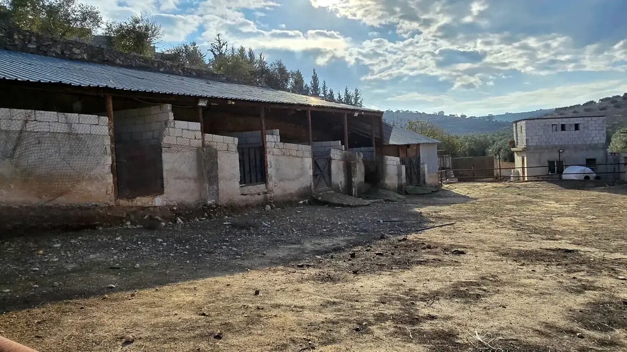 Photo of Outdoor in Ash Shajarah