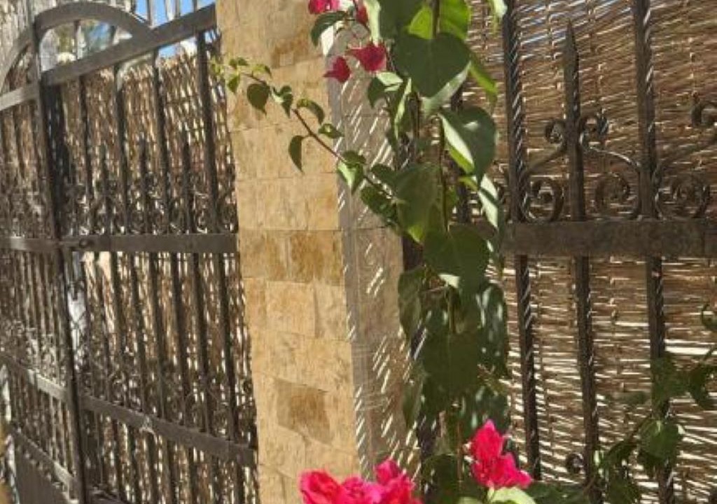 Photo of Outdoor in Dahar