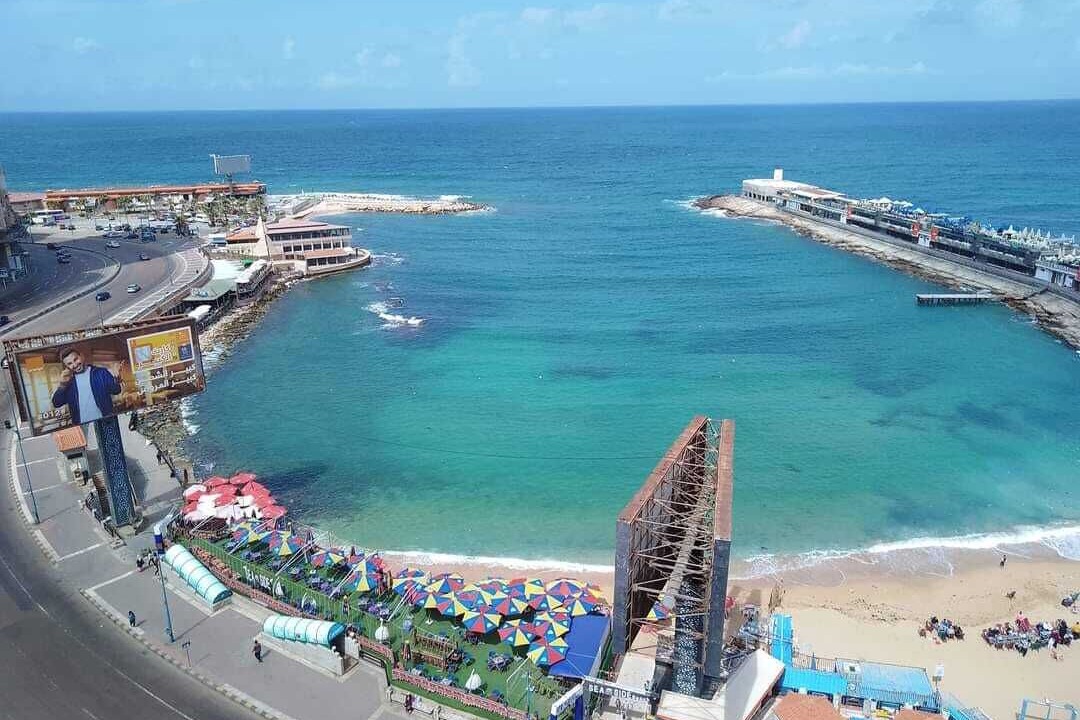 Photo of Others in Alexandria