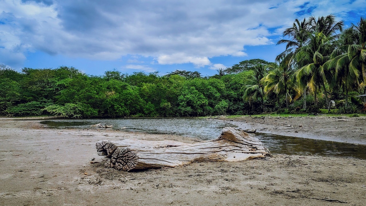 Photo of Others in Playa Hermosa