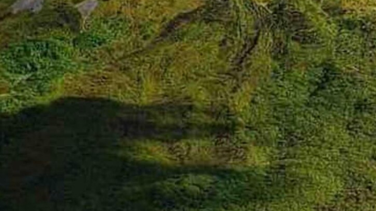 Photo of Others in Penas Blancas
