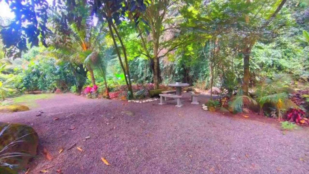 Photo of Outdoor in Penas Blancas