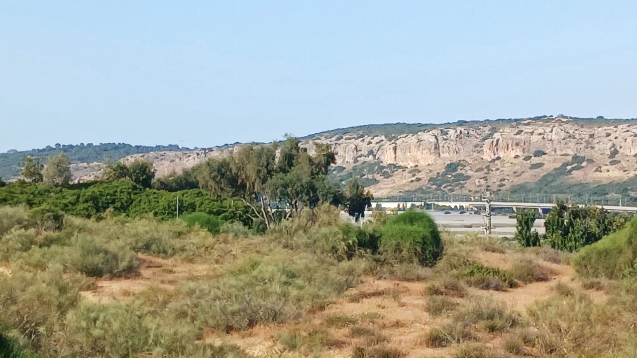 Photo of Others in Caesarea
