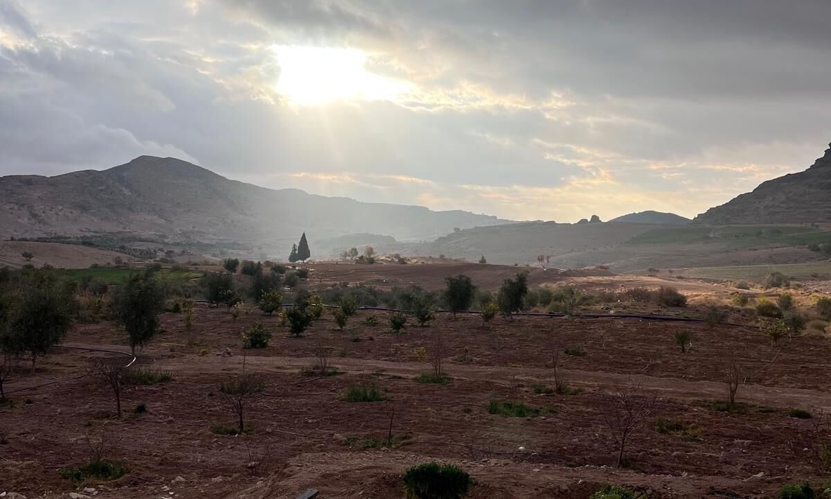 Photo of Others in Wadi Musa