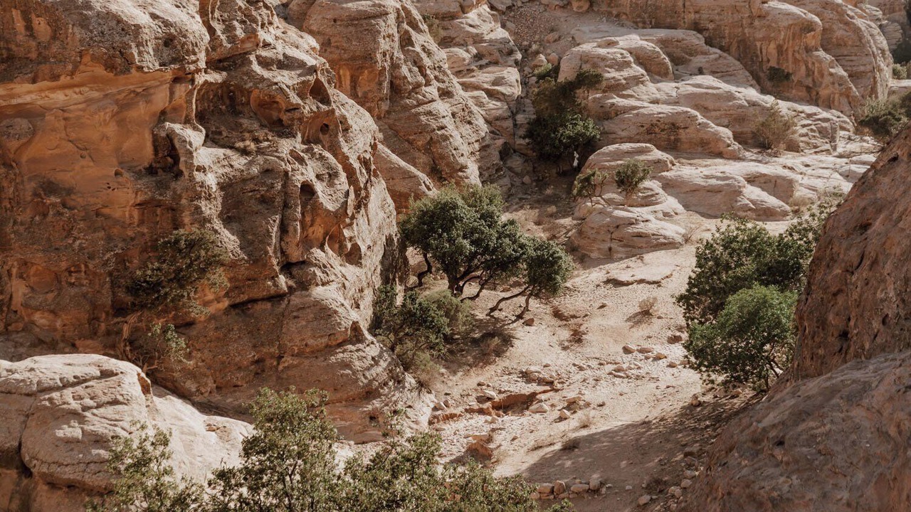 Photo of Others in Wadi Musa