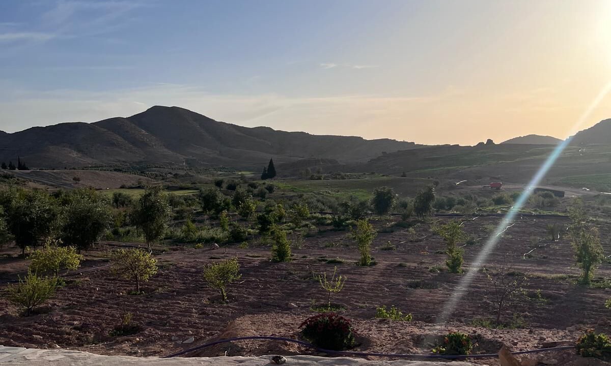Photo of Outdoor in Wadi Musa