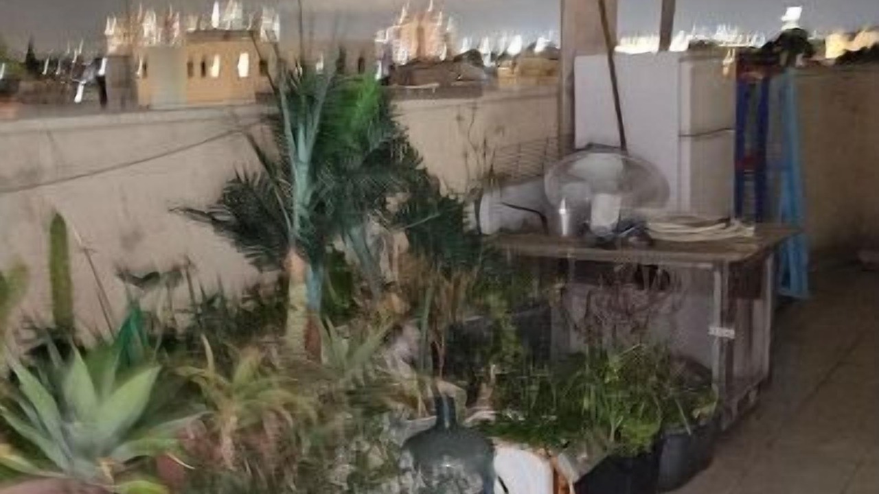 Photo of Patio Balcony in Tel Aviv