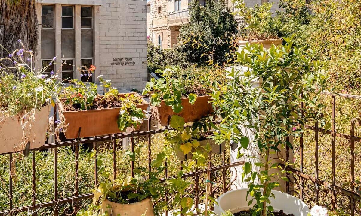 Photo of Outdoor in Mamilla