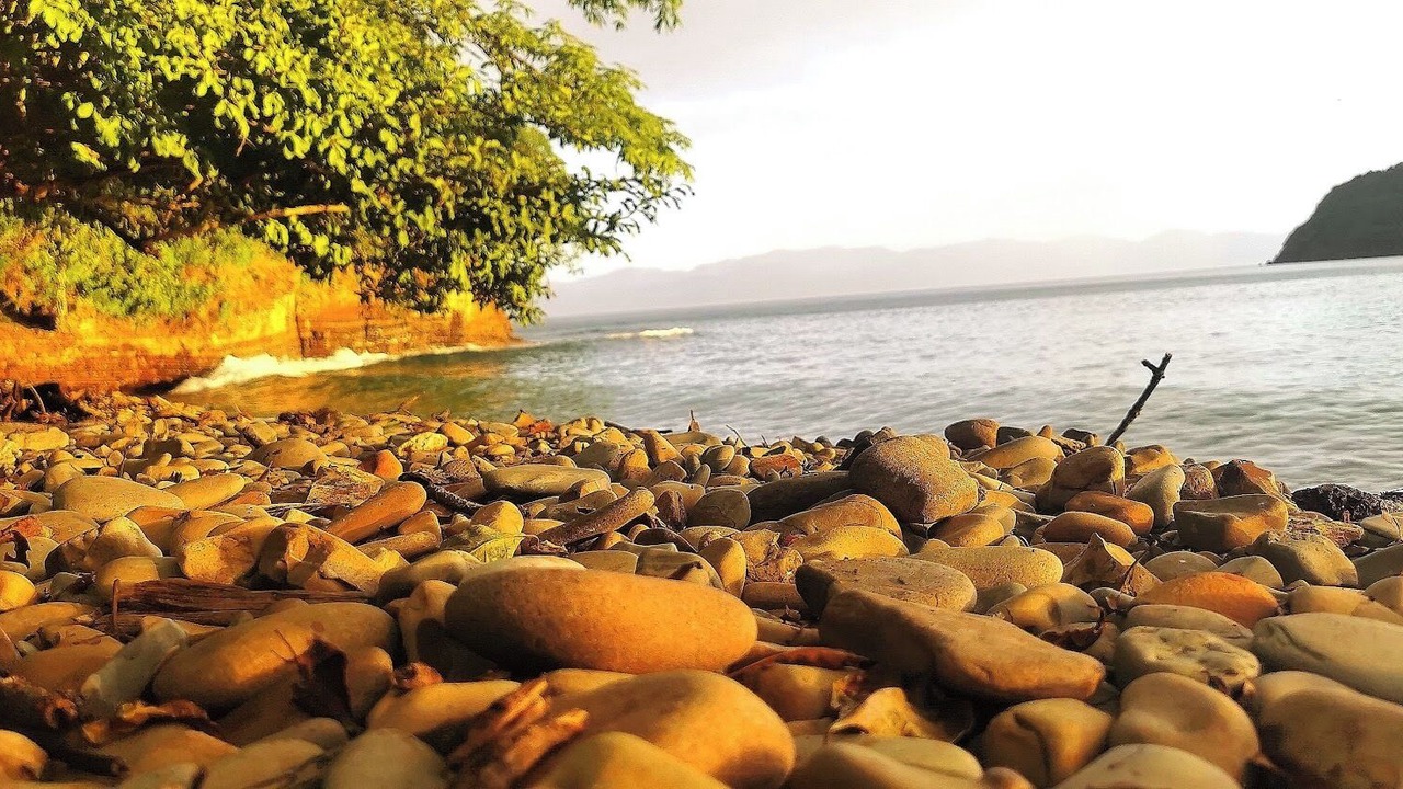 Photo of Others in La Cruz