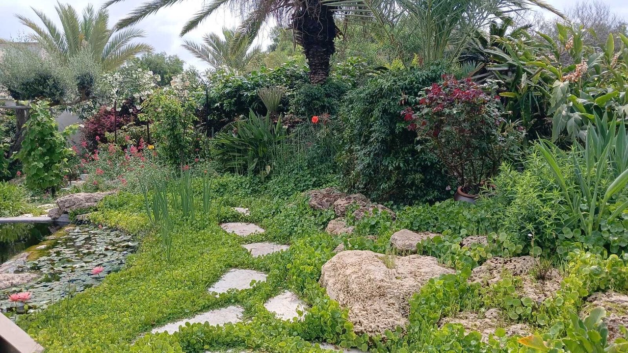 Photo of Outdoor in Caesarea