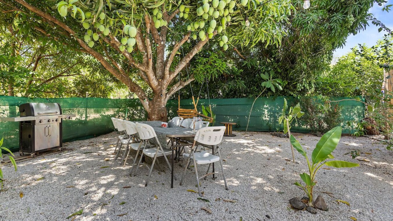 Photo of Outdoor in Matapalo