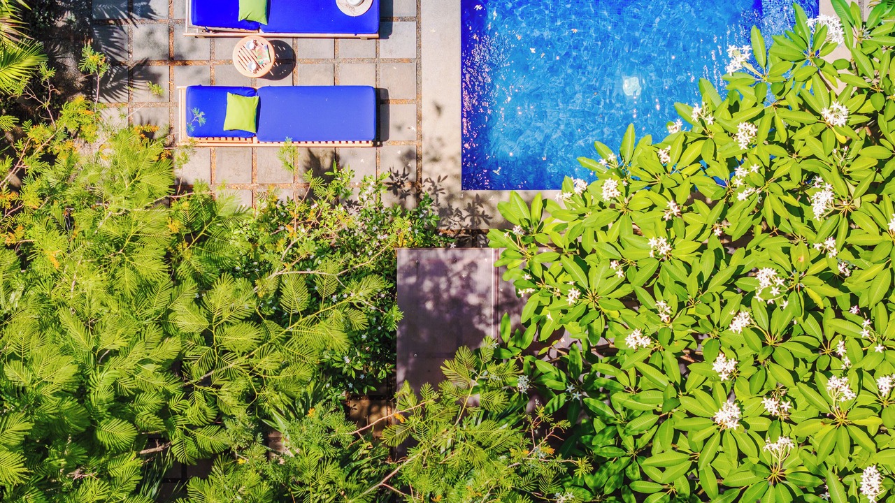 Photo of Outdoor in Playa Langosta