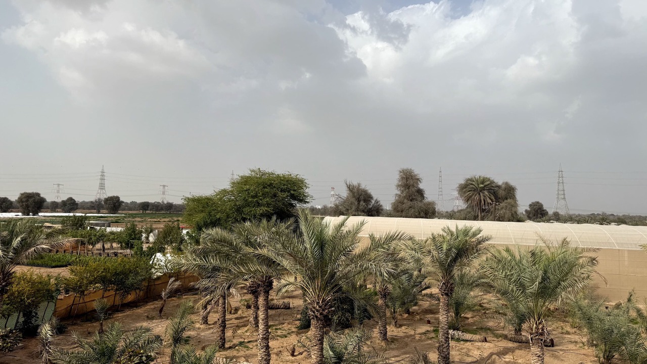 Photo of Others in Ras Al Khaimah