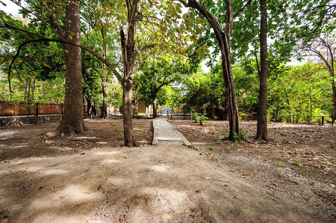 Photo of Outdoor in Potrero