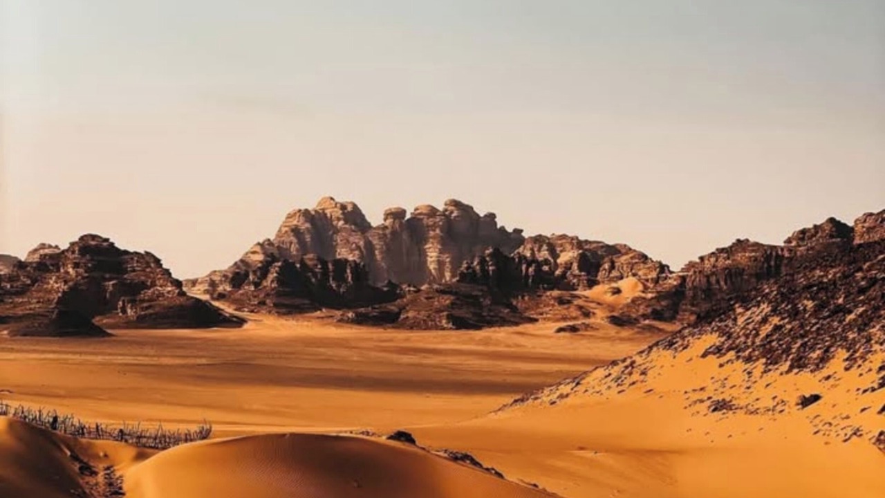 Photo of Others in Wadi Rum