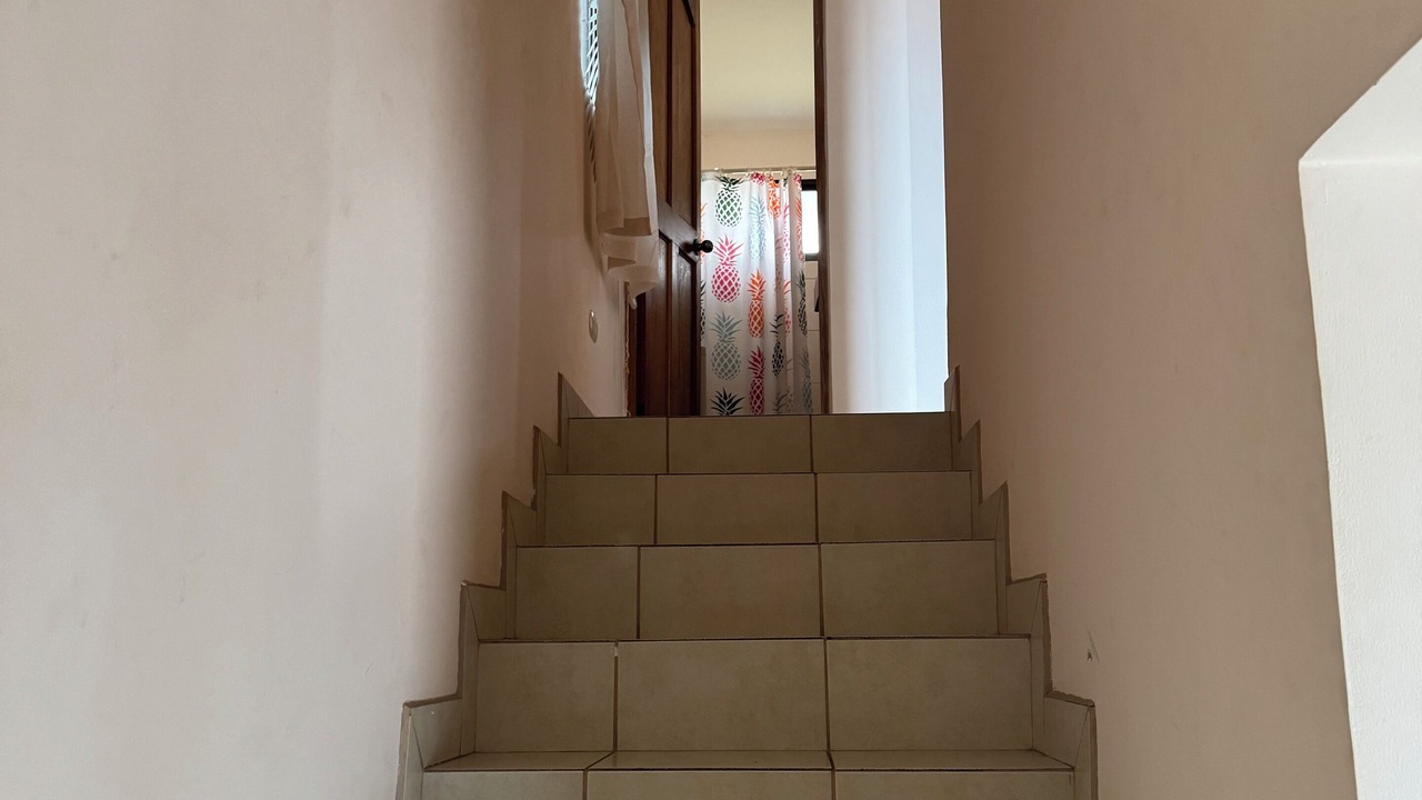 Photo of Others in Coco
