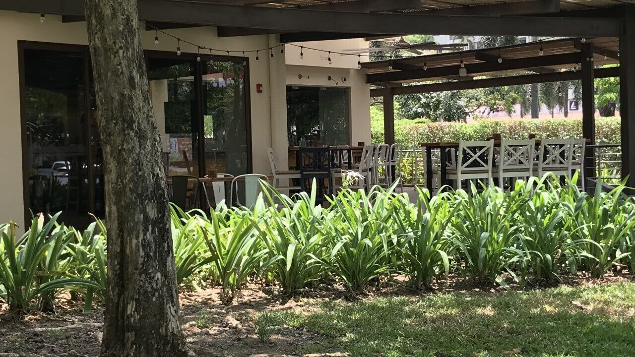 Photo of Outdoor in Coco