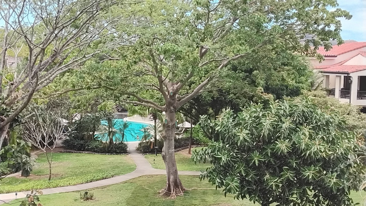 Photo of Outdoor in Coco