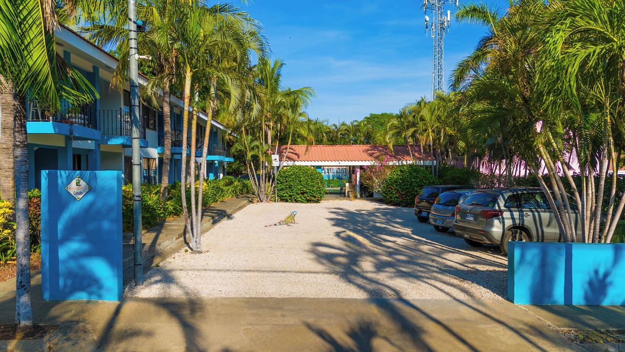 Photo of Outdoor in Coco