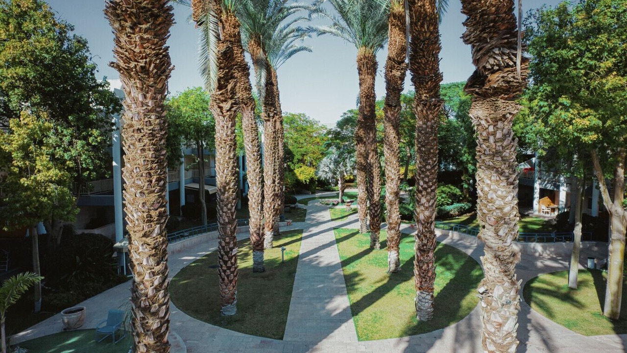 Photo of Outdoor in Eilat