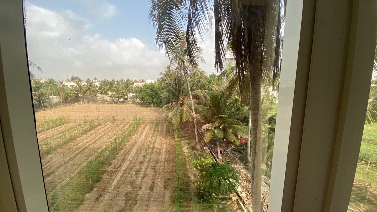 Photo of Others in Salalah